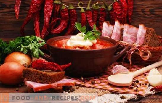Quali spezie sono necessarie per il borscht e quali non possono essere inserite?