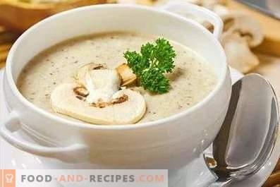 Zuppa di crema di champignon