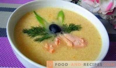 Zuppa di purea di pesce
