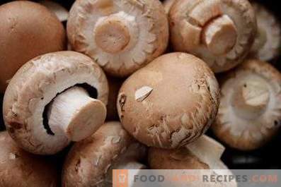 Come conservare champignons freschi
