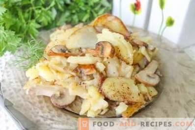 Come friggere le patate con i funghi in una padella