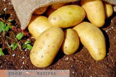 Rassegna di mezzi economici per la preconfigurazione della preparazione di patate per malattie e parassiti