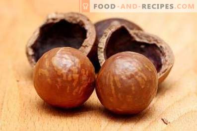 Noce di macadamia: beneficio e danno