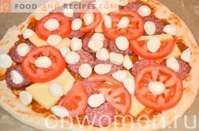 Pizza con salame e mozzarella su pasta lievitata