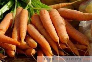 Come congelare le carote per l'inverno