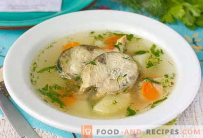 Skumbrės sriuba - geriausi receptai. Kaip tinkamai ir skaniai virti sriubos ir skumbrės.