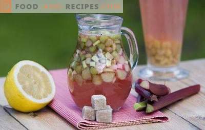 O kvass de ruibarbo é uma bebida ideal para um dia quente. As melhores receitas de kvass ruibarbo com especiarias, hortelã, limão, mel